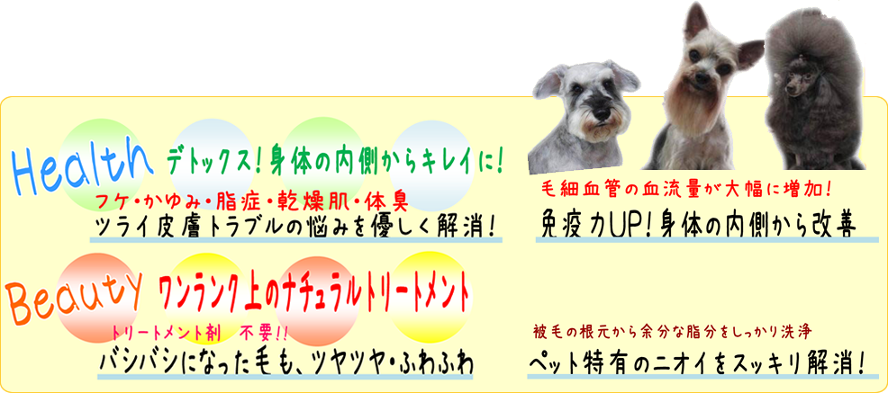 M・R DOG ｜料金表